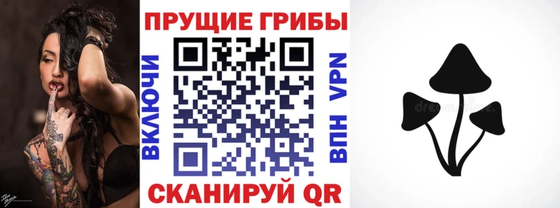 ОМГ ОМГ маркетплейс  Алзамай  Псилоцибиновые грибы Magic Shrooms 